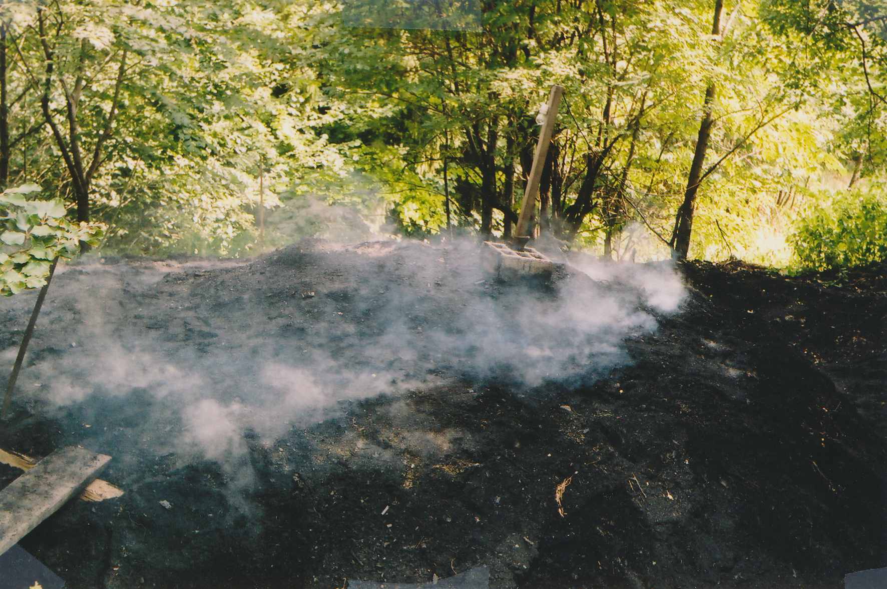 eika image